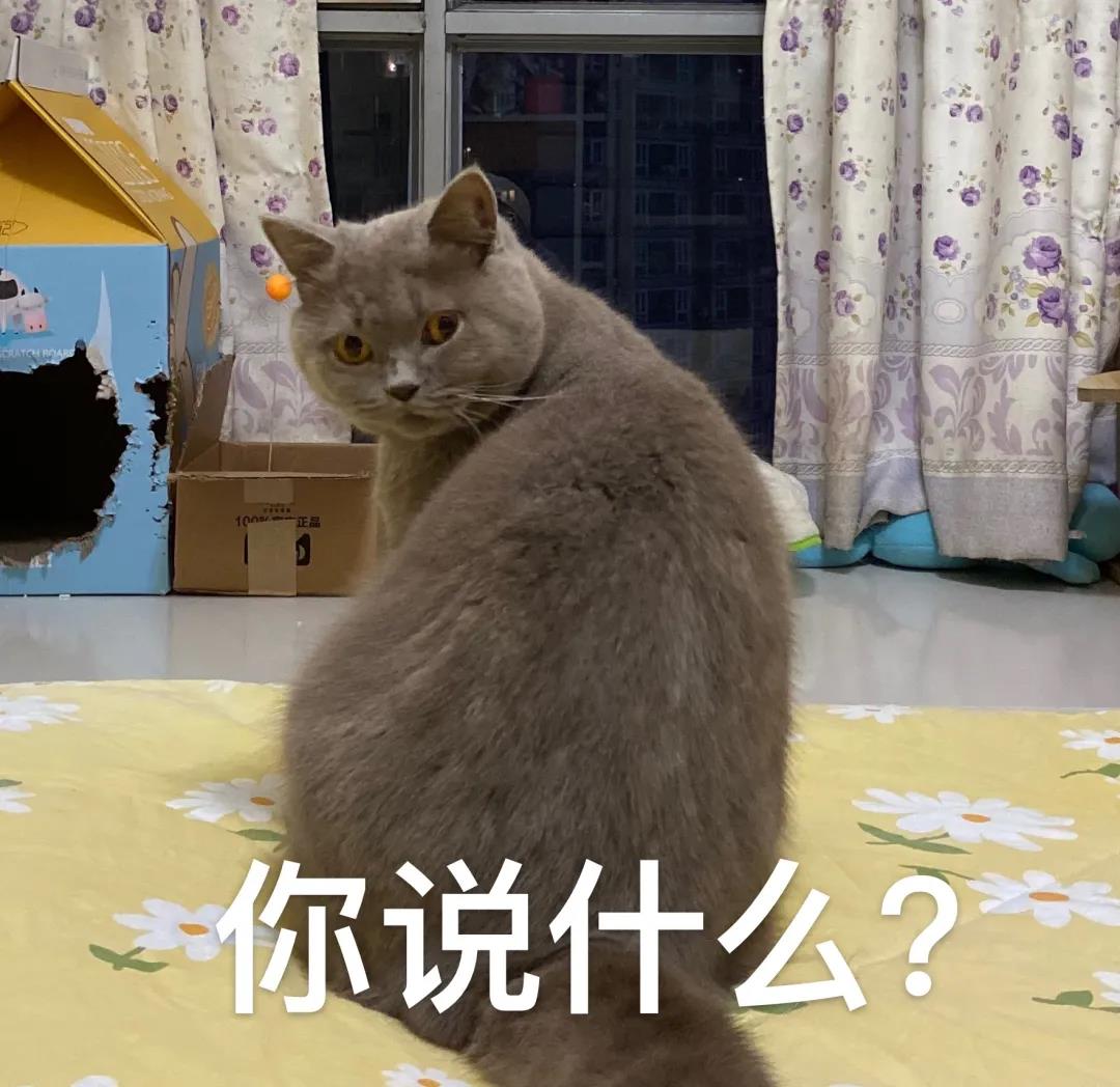 微信图片_20211210173513.jpg 微信图片_20211210173513.jpg