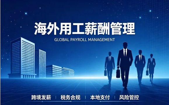 海外用工薪酬管理Payroll.png